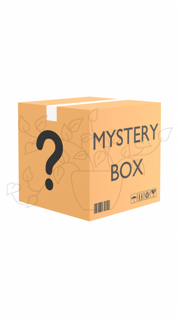 Plant Mystery Boxes